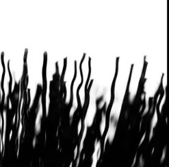 Muc-Off Tyre & Cassette Brush 8 Muc-Off Tyre & Cassette Brush -DOLAN BikeParts Tyre Cassette Brush 4